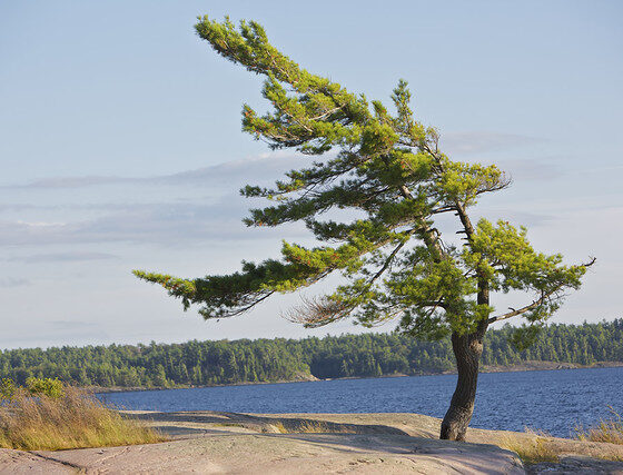 Mass at Killbear